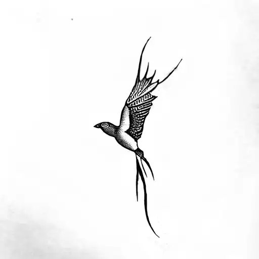 A Bird Flying In The Dark