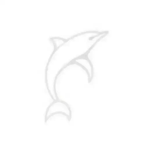 The Head Of A Dolphin