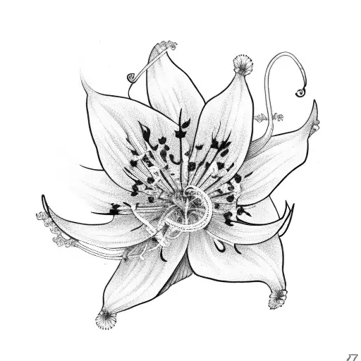 Zodiac Taurus With Spider Lily Flower