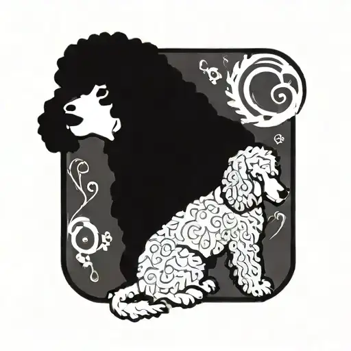 Standard Black Poodle Queen