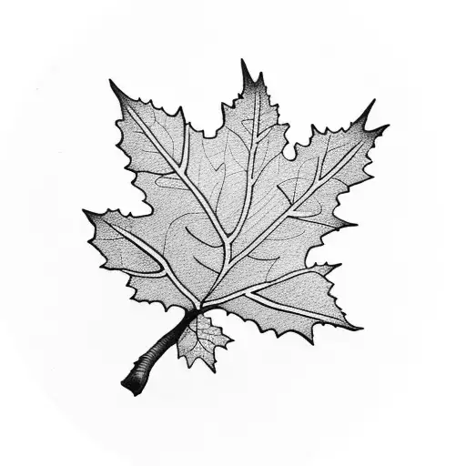 Oak Tree Leaf And Two Acorns