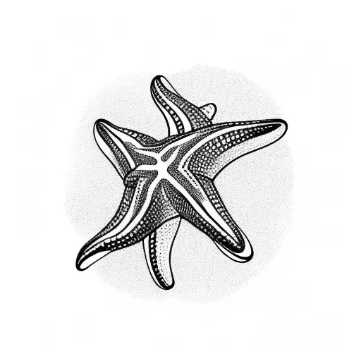 Starfish Ando Sea Life Flat Line