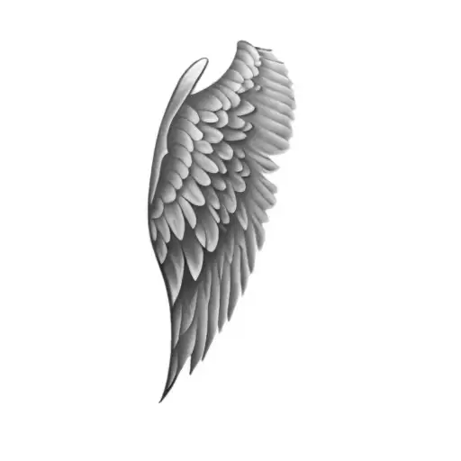 An Angel's Wing