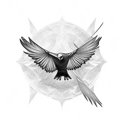 Flying Raven Looking Back