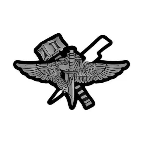 A Badge With Wings And A Sword