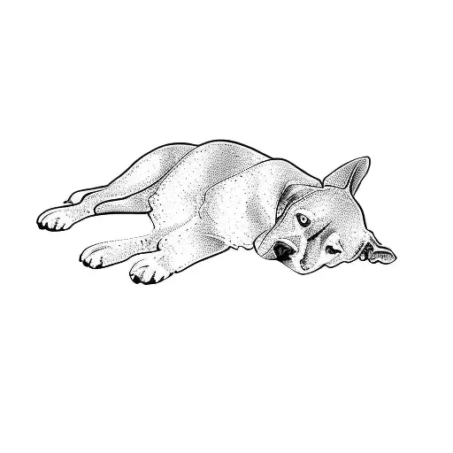 A Dog Laying Down On A Black Background