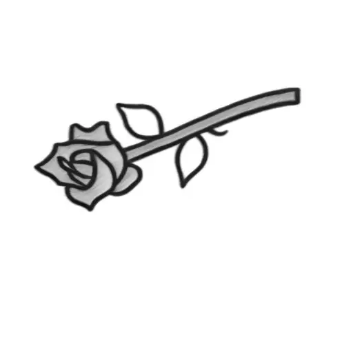 A Rose