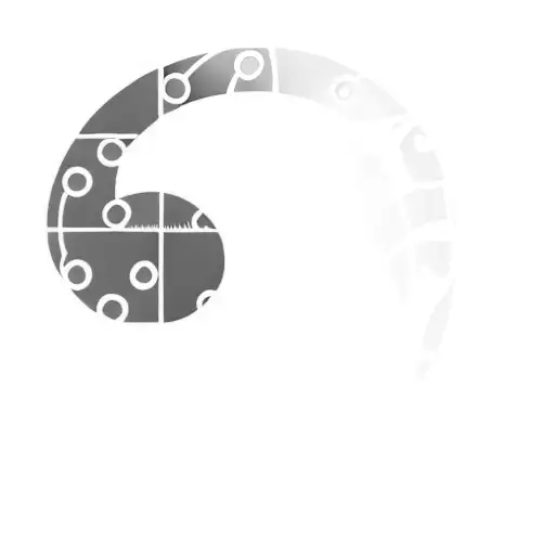 An Orange And Black Spiral