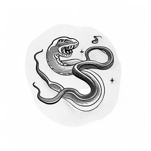 Snake Chasing A Star