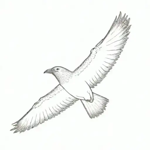A Bird Flying In The Sky