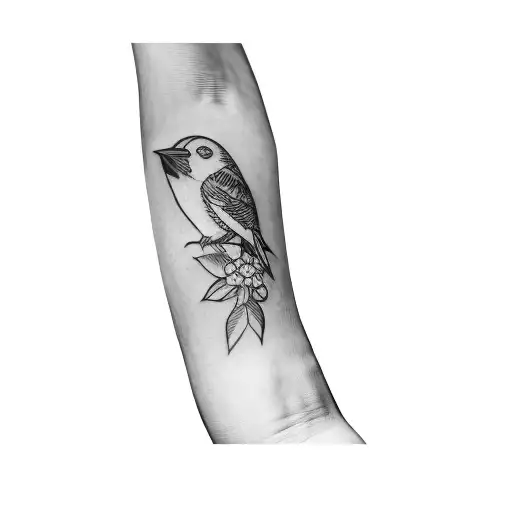A Woman With A Bird On Her Arm