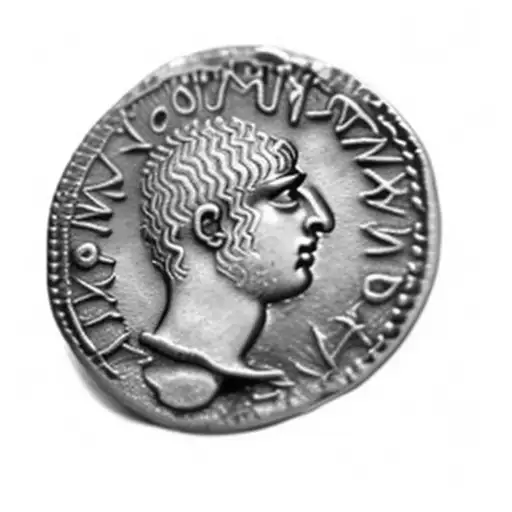 An Ancient Roman Coin