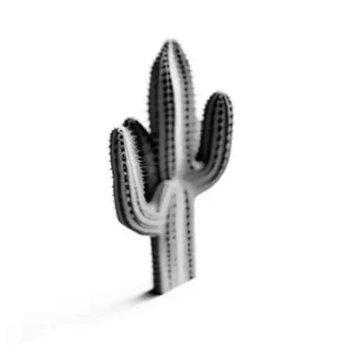 Simple Cactus Black And White With Terrain