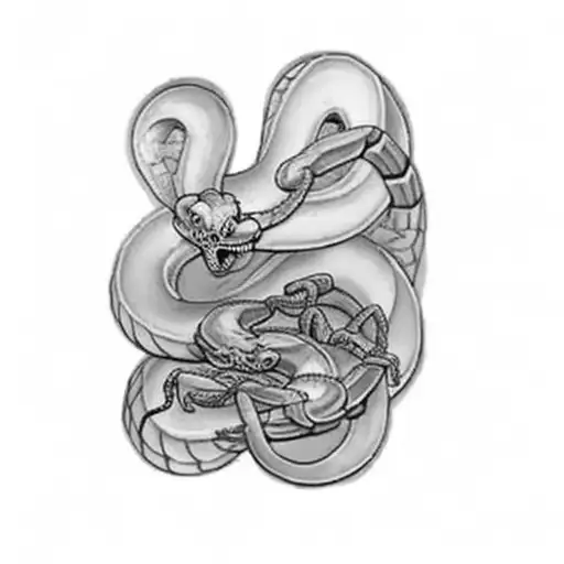 Snake Fighting Scorpion