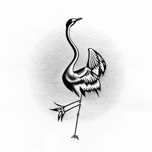 Elegant Crane Bird