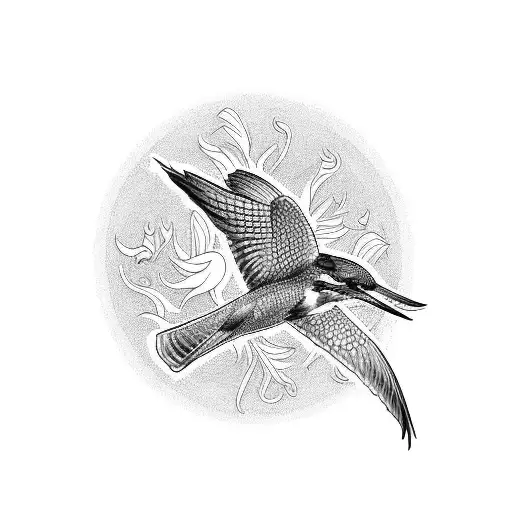 Kingfisher With Sunset Background