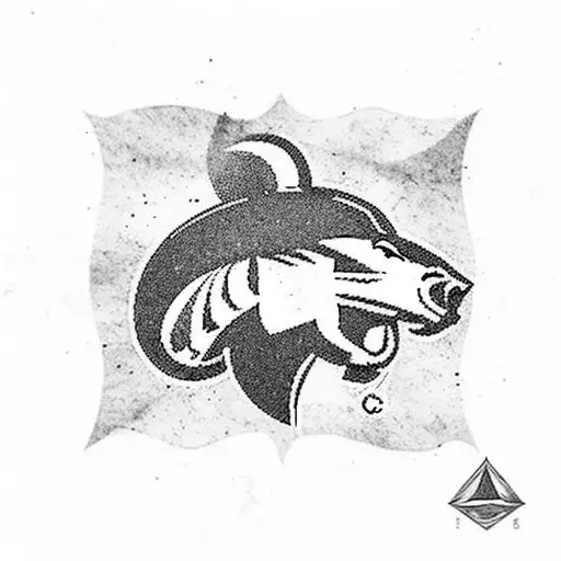 Colorado State Flag Broncos