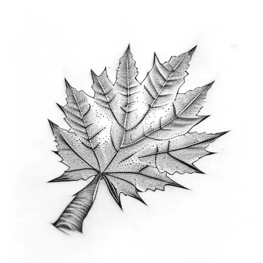 Maple Leaf And Palm Tree Mixed