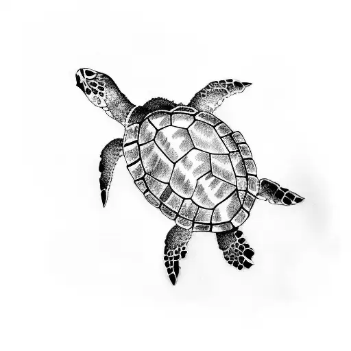 Sea Turtle With Writing