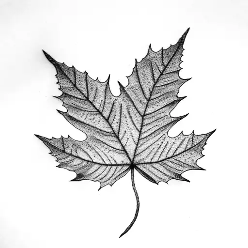 Leaf And Branches