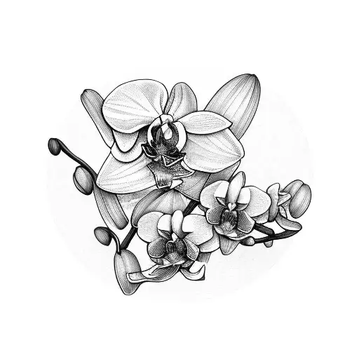 Orchid With 3 Dates On It