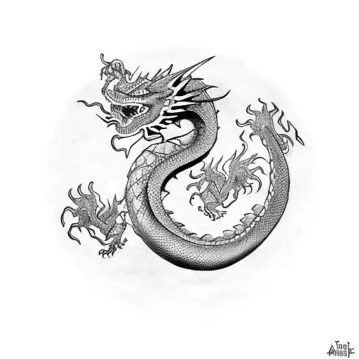 Dragon