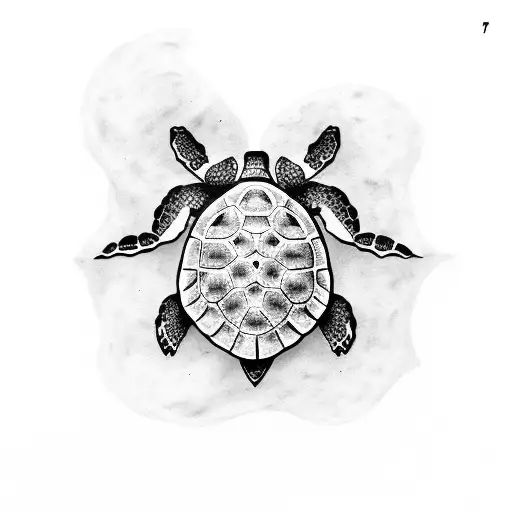 Sea Turtle With Skull