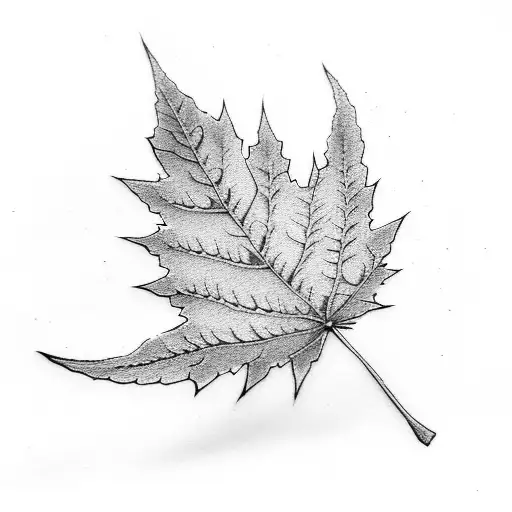 Red Maple Leaf