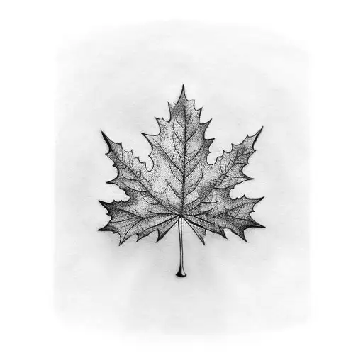 Oak Leaf That Has ''The Oak Tree Is A Symbol Of Kildare'' Underneath