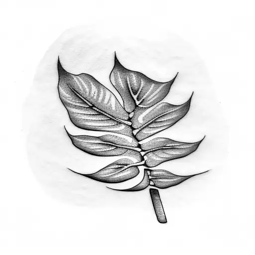 Monstera Plant Tattoi