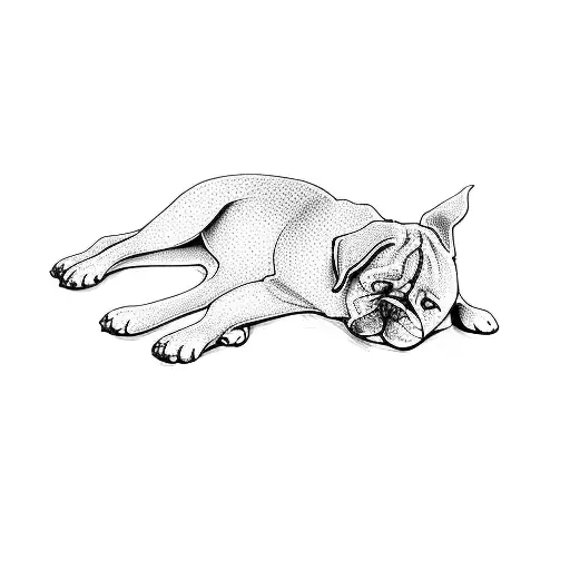 A Dog Laying Down On A Black Background