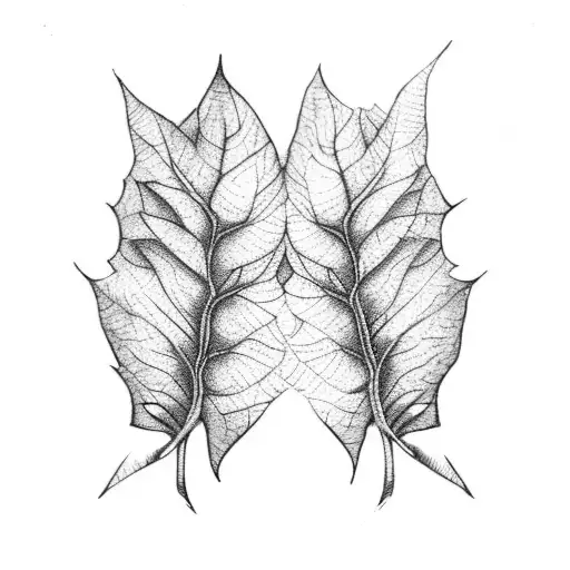 Two Leaves On A Black Background
