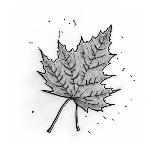 Maple Leaf