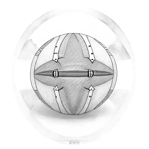 American Football Ball