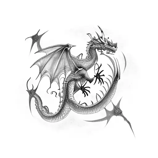 2 Dragons Black White Flying