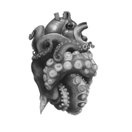 An Octopus Heart