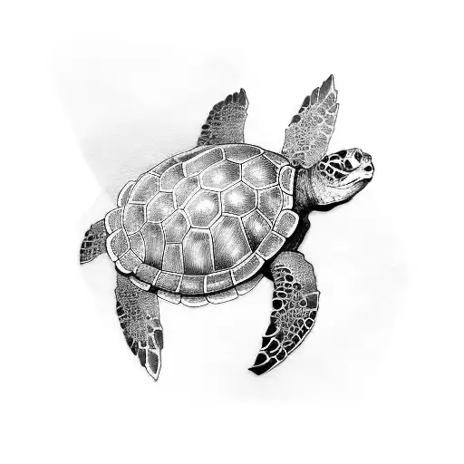 Turtle