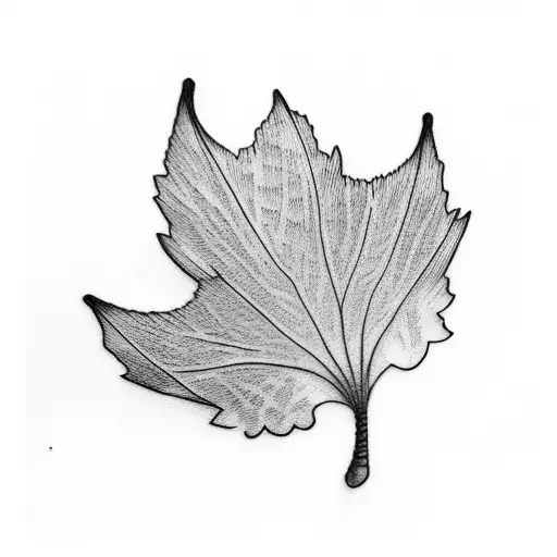 Ginkgo Tree Leaf