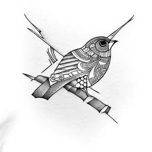 Small Native New Zealand Bird