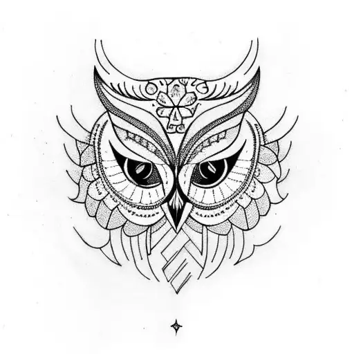 Owl And Peacock