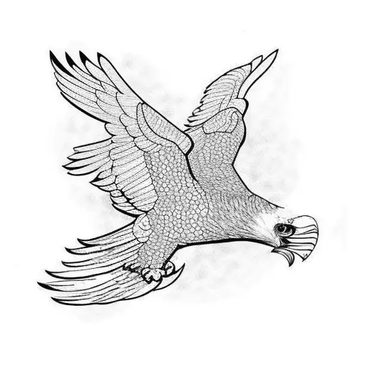 Flying Eagle With Surround Minimalistic Lines