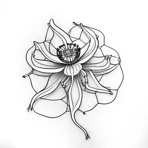 Memento Mori With Skeleton Hand And Normal Hand Holding A Spider Lily