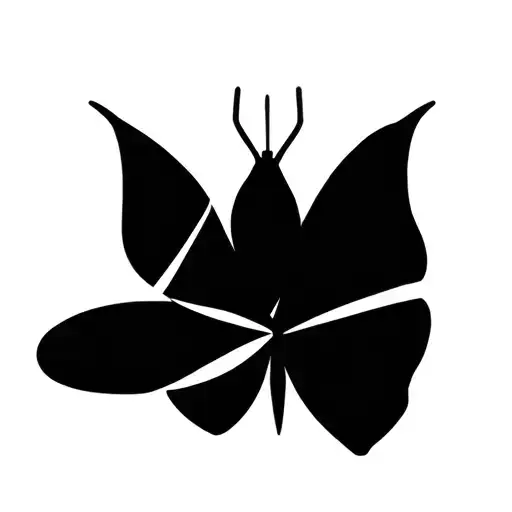 Koylma Butterfly