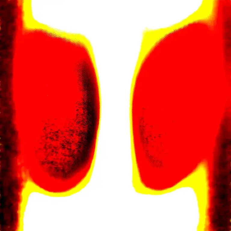 Two Rose Wrapped One Black One Red