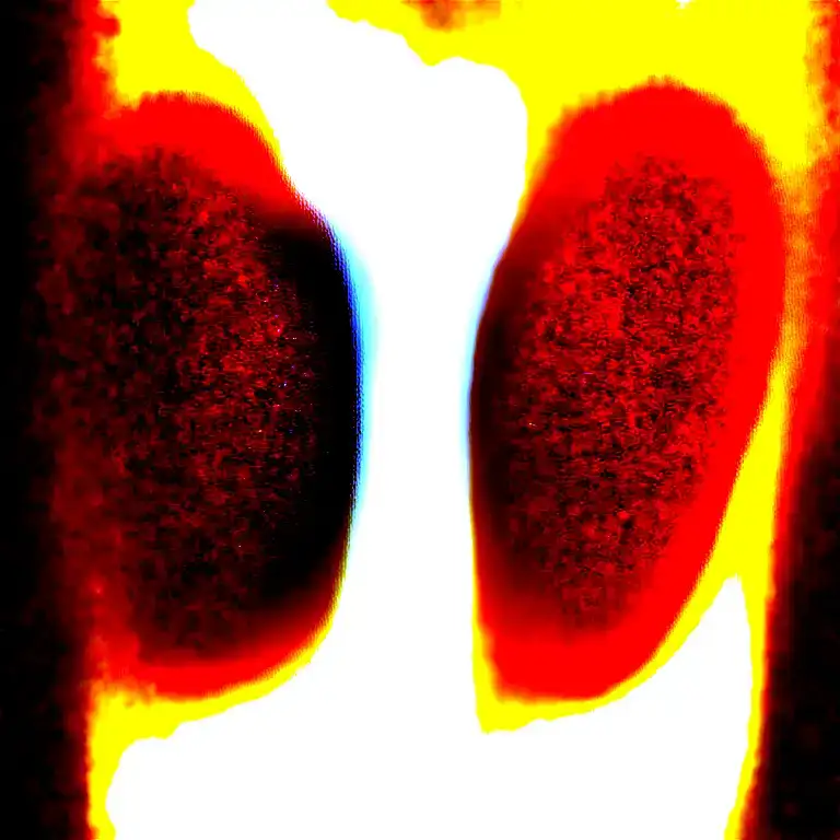 Two Rose Wrapped One Black One Red