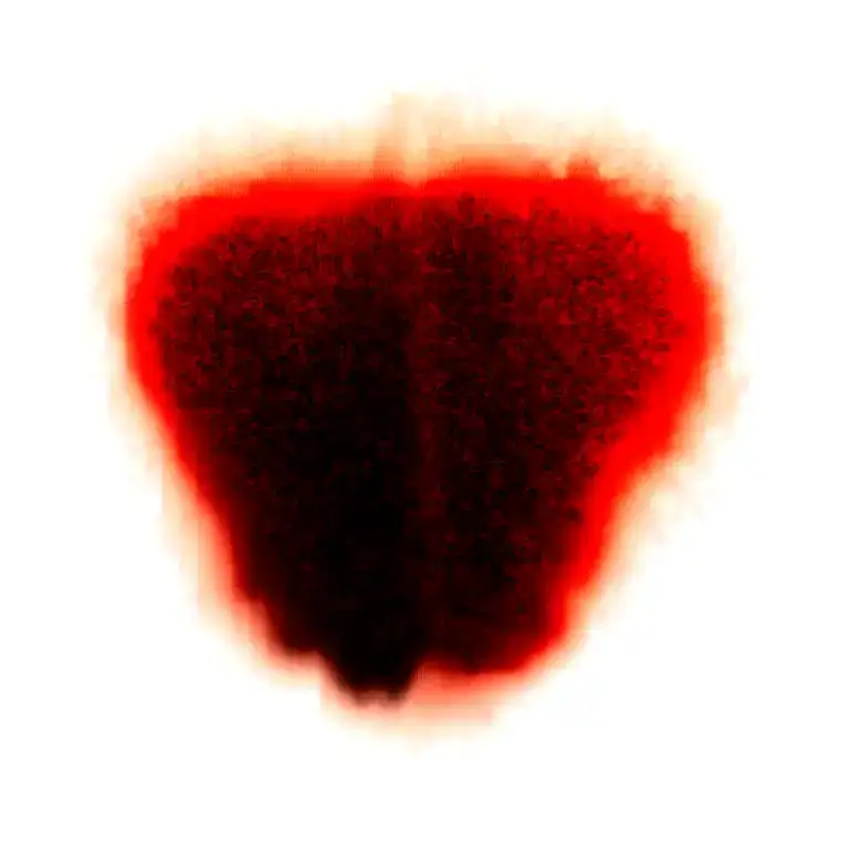 Two Lilys Wrapped One Black One Red