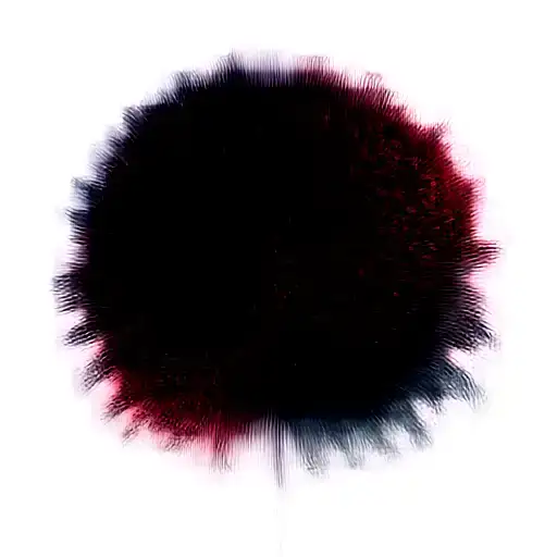 One Black One Red Spider Lily Flower