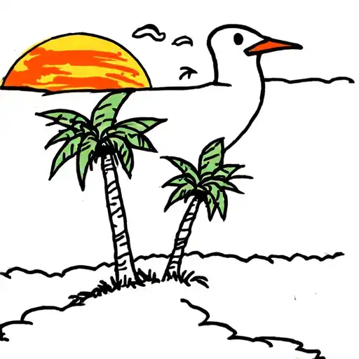 Screaming Seagull Palm Trees Sunset