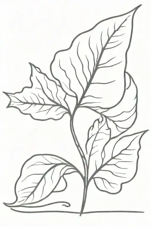 Leaf