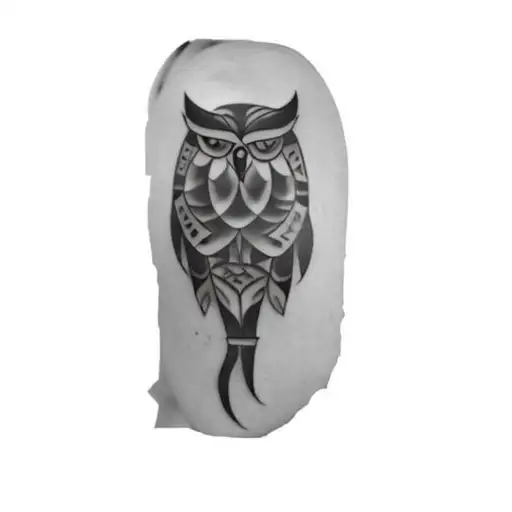 A Tribal Tattoo Boruca Owl